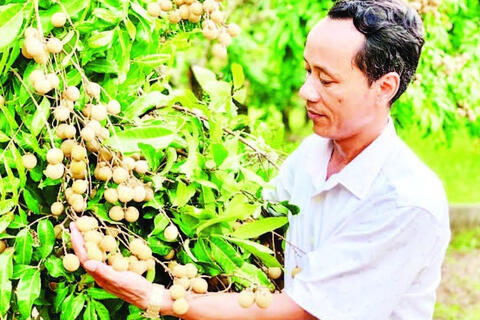 Ứng dụng công nghệ cao, nâng giá trị nông sản