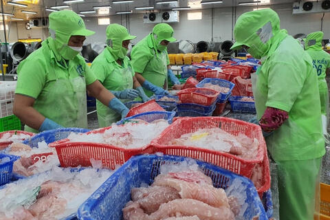 Xuất hiện thị trường trọng điểm mới của cá tra Việt