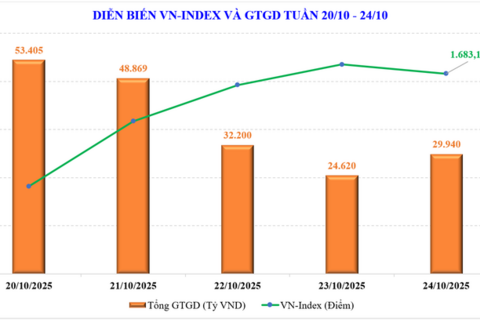 Thị trường chứng khoán: Thay vì nhìn điểm số hãy ngắm kỹ rổ danh mục của mình