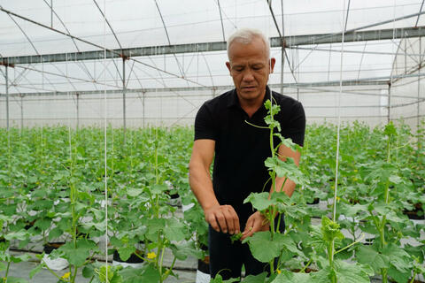 Hưng Yên: Đa dạng sản phẩm OCOP tạo cơ hội bứt phá phát triển nông thôn mới