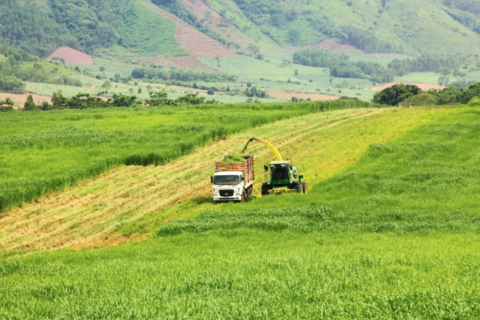 Từ nông nghiệp đến năng lượng: Từng bước hiện thực hóa cam kết Net Zero