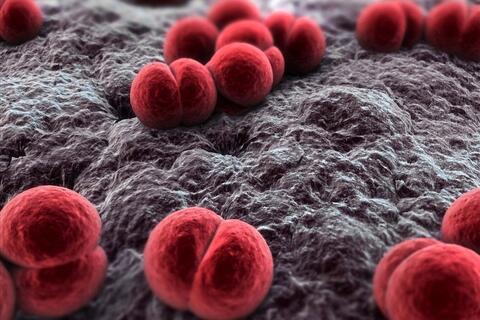 Ghi nhận ca mắc não mô cầu, Hà Nội khuyến cáo phòng dịch bệnh truyền nhiễm nguy hiểm