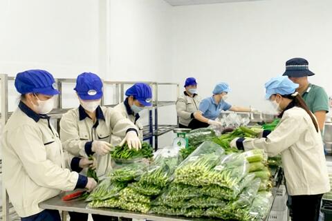 Khai thác “mỏ vàng” nâng tầm sản phẩm OCOP