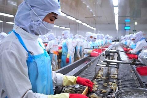 Nhiều doanh nghiệp thủy sản tăng tốc khai thác các thị trường mới