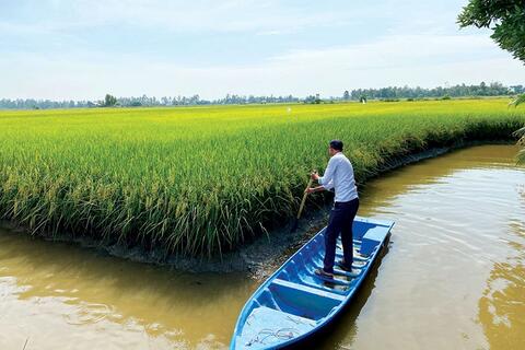 Cà Mau tạo đột phá hai mũi nhọn kinh tế: Phát triển năng lượng tái tạo và nông nghiệp sạch