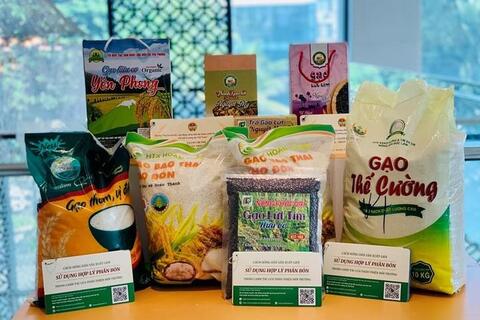 Những lưu ý quan trọng về quyền sở hữu trí tuệ khi doanh nghiệp thâm nhập thị trường Trung Quốc