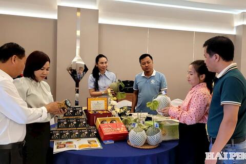 Đăng ký sở hữu trí tuệ - Chiến lược cạnh tranh cho sản phẩm chủ lực