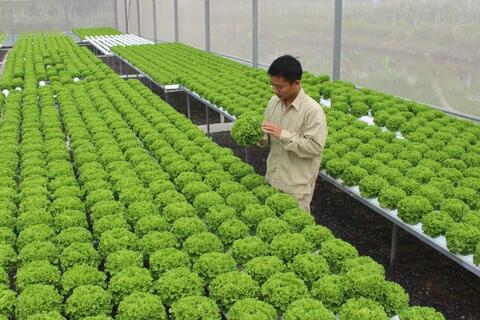 Nông nghiệp công nghệ cao “mở đường” tăng trưởng
