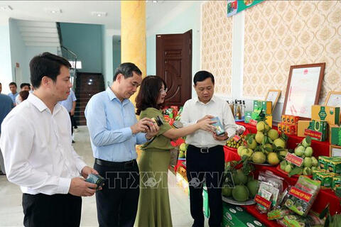 OCOP Tuyên Quang: Từ sản vật bản địa đến thương hiệu vùng miền