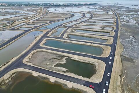 Vai trò của công nghệ xanh trong mô hình đô thị lấn biển