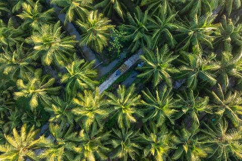 AgriS xây hệ sinh thái nông nghiệp tuần hoàn công nghệ cao