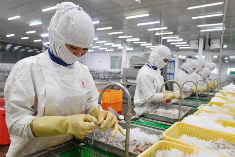 Xuất khẩu kỷ lục và sức chống chịu dẻo dai của nền kinh tế Việt Nam