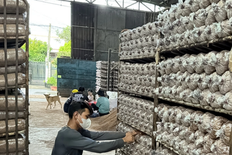 Hoàn thiện quản lý sở hữu trí tuệ cho sản phẩm địa phương