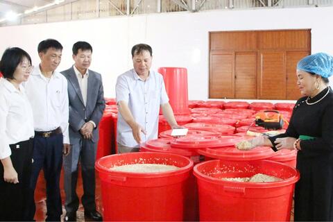 Xây dựng thương hiệu OCOP từ bản sắc vùng cao