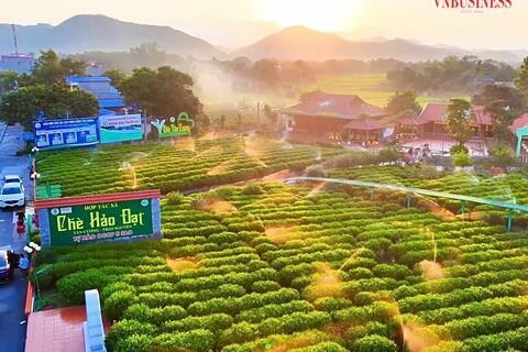 Tài sản trí tuệ: “Giấy thông hành” để HTX khẳng định vị thế trong chuỗi giá trị