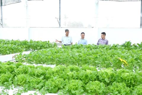 Nâng giá trị, sức cạnh tranh cho nông sản Thủ đô