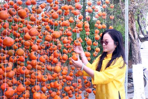 Tiếp vốn cho hợp tác xã nâng cao sản xuất, kinh doanh