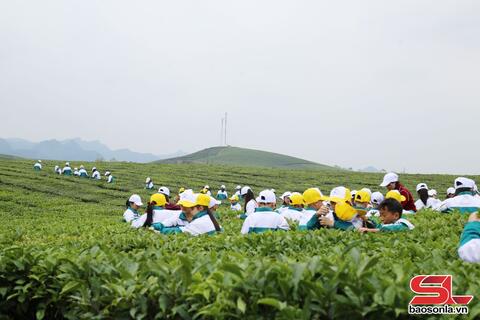 Phát triển nông nghiệp gắn với chế biến và tiêu thụ sản phẩm