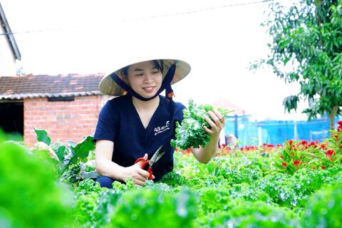 Ứng dụng khoa học - kỹ thuật vào sản xuất