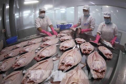 Việt Nam - Nga: Mở rộng dư địa, nâng tầm hợp tác thương mại