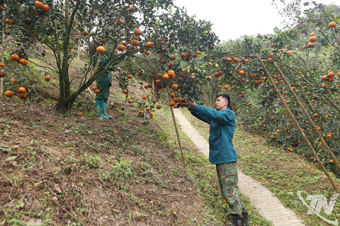 Khoa học, công nghệ - Động lực cho sản xuất ở vùng cao