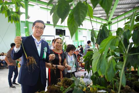 Mở rộng không gian phát triển sâm Ngọc Linh