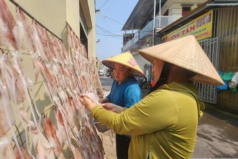 Từ mẻ cá quê đến thương hiệu OCOP: Hành trình “đánh thức” hải sản biển