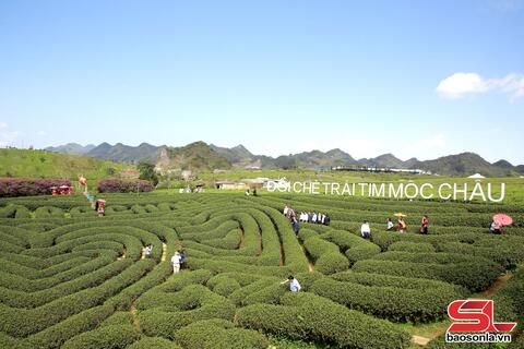 Xây dựng hệ sinh thái dịch vụ du lịch chuyên nghiệp