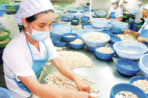 Biến “rào cản xanh” thành lợi thế cạnh tranh