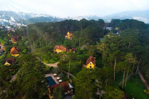 Ninh Vân Bay còn chặng đường dài để xử lý lỗ lũy kế và chia cổ tức
