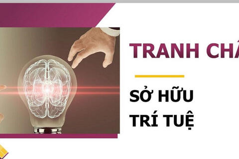 Doanh nghiệp đối mặt áp lực mới khi tranh chấp sở hữu trí tuệ bùng phát trên nền tảng số