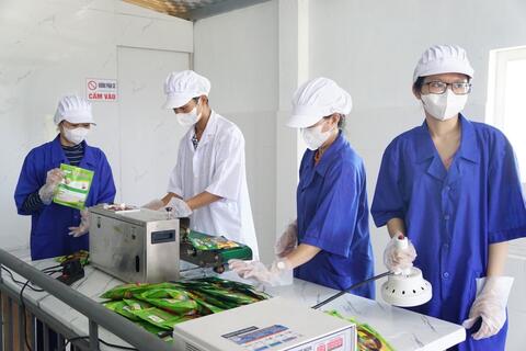 Phát triển hợp tác xã và OCOP làm trụ cột kinh tế nông thôn