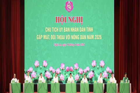 Lý do thương hiệu cam Vinh xuống dốc