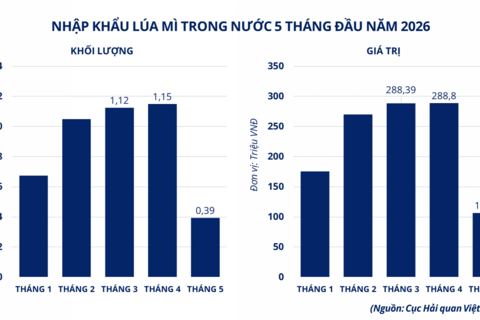 Thị trường hàng hóa diễn biến tích cực, dòng tiền tìm đến lúa mì và bạc