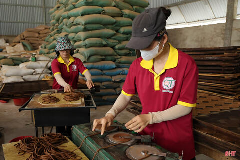 Ứng dụng khoa học, công nghệ "nâng tầm" sản phẩm OCOP Hà Tĩnh