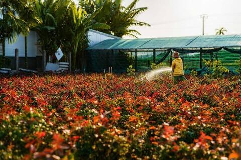 Hoa Nghĩa Hiệp nâng tầm thương hiệu bằng sản xuất tập trung và chuyển đổi xanh