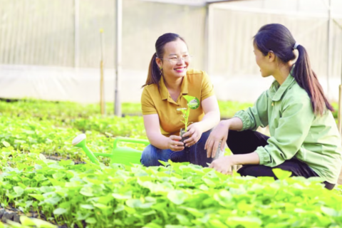 Chuyển giao công nghệ, đổi mới tư duy sản xuất