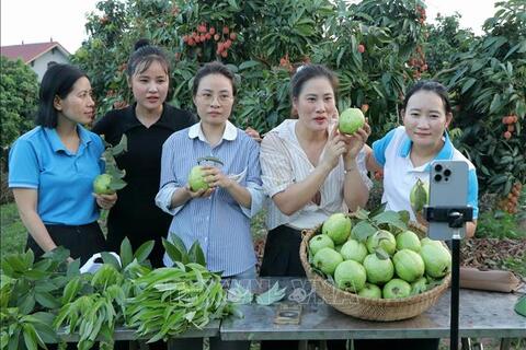 Khai thác tiềm năng, mở rộng không gian tăng trưởng kinh tế số