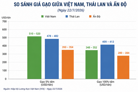 Giá gạo xuất khẩu phục hồi nhưng doanh nghiệp vẫn chịu áp lực cạnh tranh gay gắt