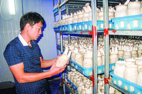 Hỗ trợ doanh nghiệp nhỏ và vừa tăng tốc chuyển đổi số