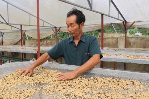 Từ truy xuất nguồn gốc đến bảo hộ tài sản trí tuệ: "Vé thông hành" cho nông sản xuất khẩu