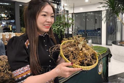 Tây Ninh đưa sở hữu trí tuệ thành “tấm khiên” cho HTX