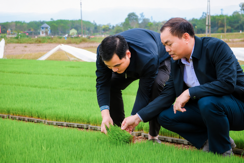 Xử lý giống cây trồng và sản phẩm OCOP nhái: Cần "lá chắn" sở hữu trí tuệ