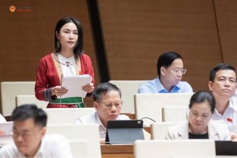 Hỗ trợ đất, nhà ở phải đi cùng sinh kế bền vững