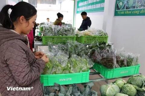 Giảm thuế 30% để tiếp thêm nguồn lực cho hộ kinh doanh và hỗ trợ tiêu dùng