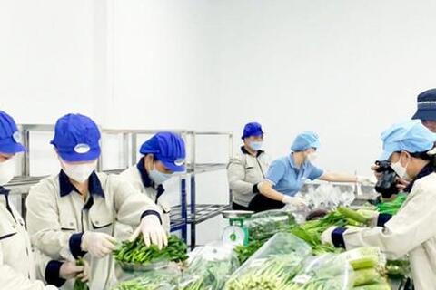 Hà Nội xây dựng hệ sinh thái dữ liệu, kiểm soát an toàn thực phẩm từ gốc