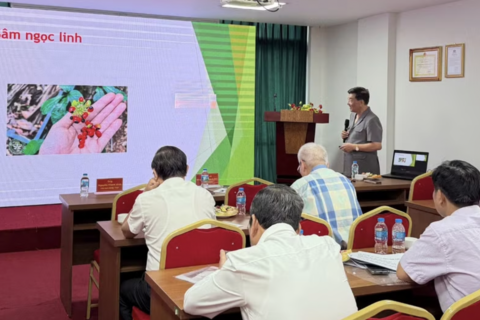 Thúc đẩy các giải pháp phát triển dược liệu tại Việt Nam
