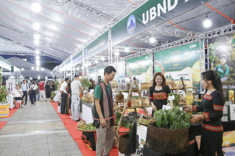 Quà quê kể chuyện Đà Nẵng