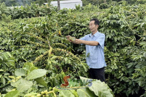 Chất lượng - nâng tầm thương hiệu OCOP