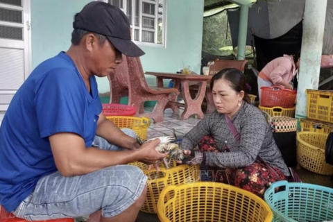 Phát triển bền vững ngành hàng cua vùng địa đầu cực Nam của tổ quốc